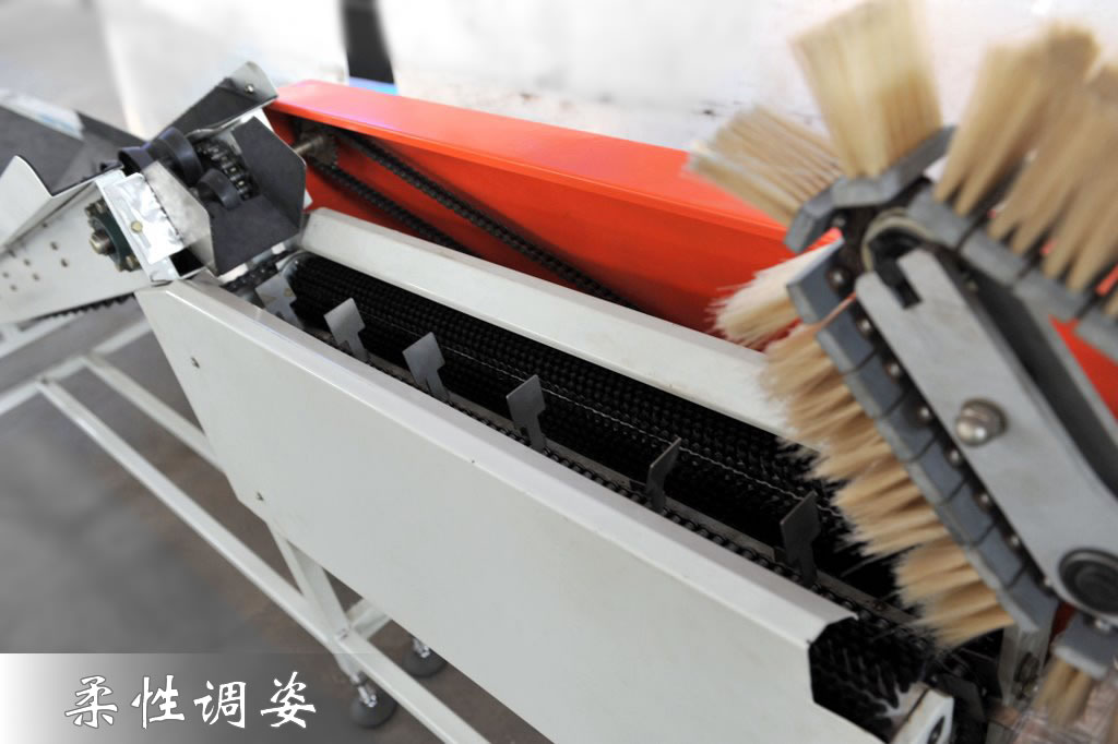 恒新牌XFZB-1型果蔬自動包裝機